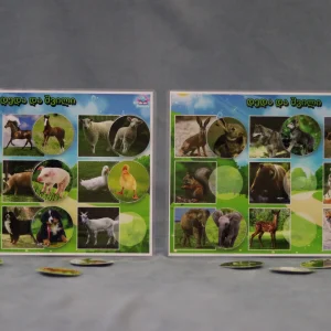 ცხოველების შვილები